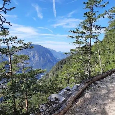 Ferienwohnung-eroeffnung! Ferienglueck Moll, 4 Zimmer! Bad Reichenhall! Wellness, Garten, Bergblick! Apartment *